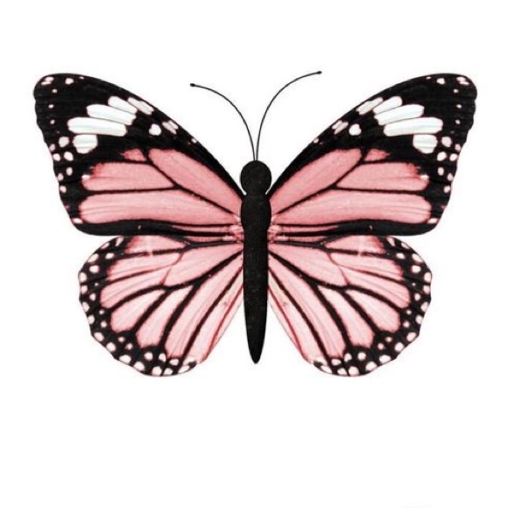 Meet your Posher, Monica